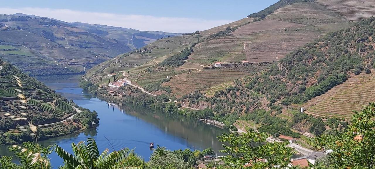 Casa Do Jornaleiro - Douro - Quinta Da Cabrida Villa Casal de Loivos Bagian luar foto